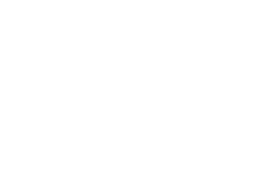 Anna Marini